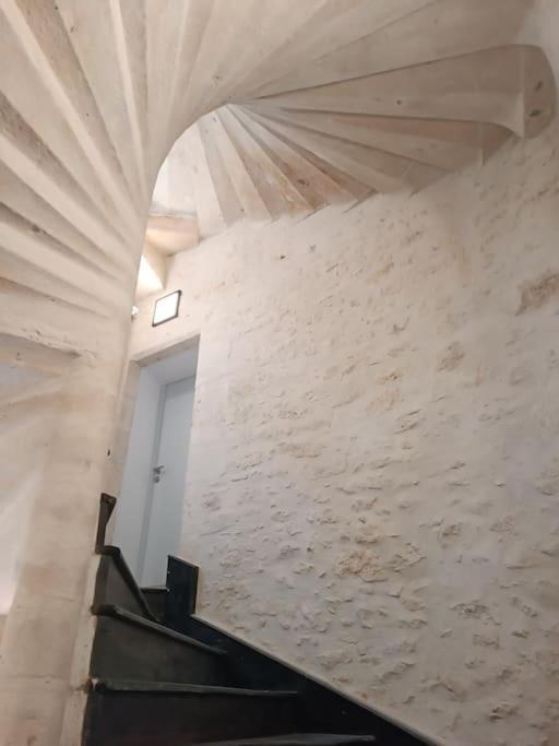 Appartement Centre Ville Historique Avec Terrasse Et Climatise Périgueux المظهر الخارجي الصورة